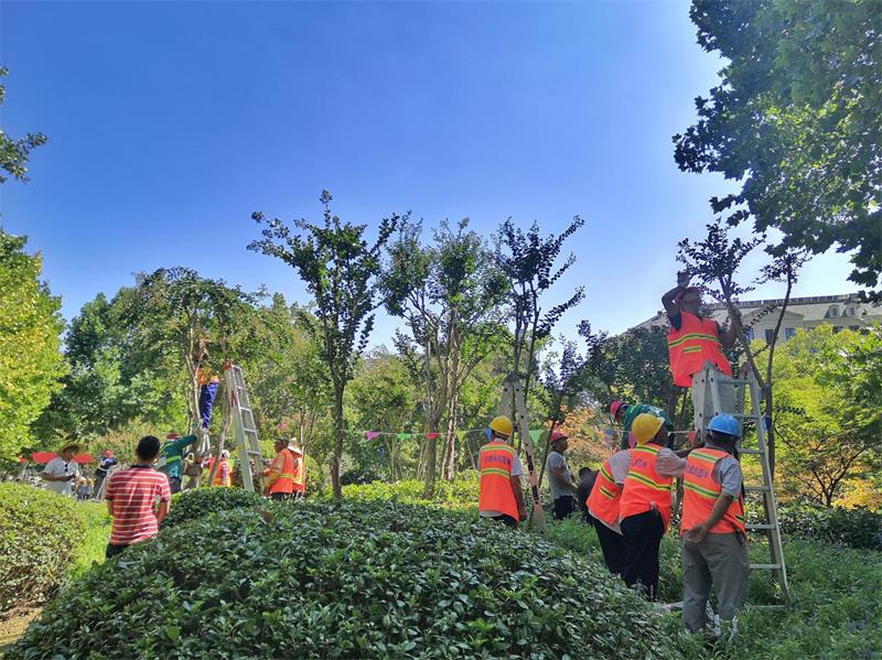 乐动.体育 （中国） 官方网站承办全市住建系统园林绿化工职业技能大赛